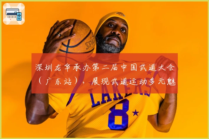 深圳龙华承办第二届中国武道大会（广东站），展现武道运动多元魅力