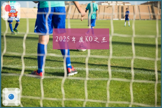 2025年度KO之王