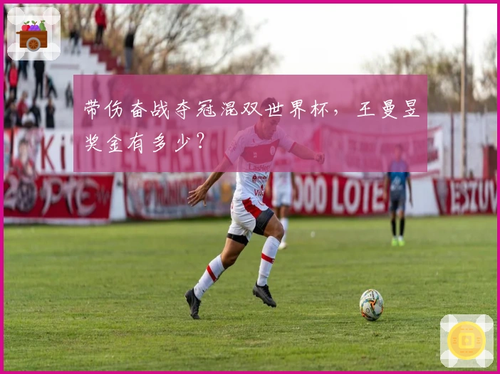 带伤奋战夺冠混双世界杯，王曼昱奖金有多少？