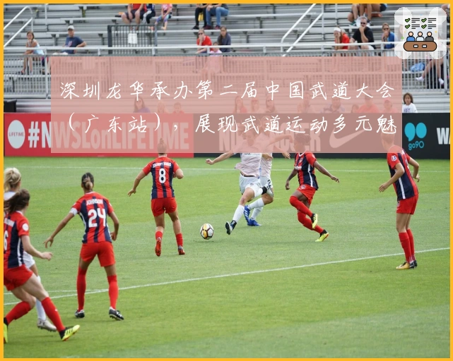 深圳龙华承办第二届中国武道大会（广东站），展现武道运动多元魅力