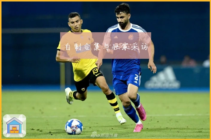 自制合集与独家采访